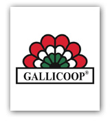 www.gallicoop.hu